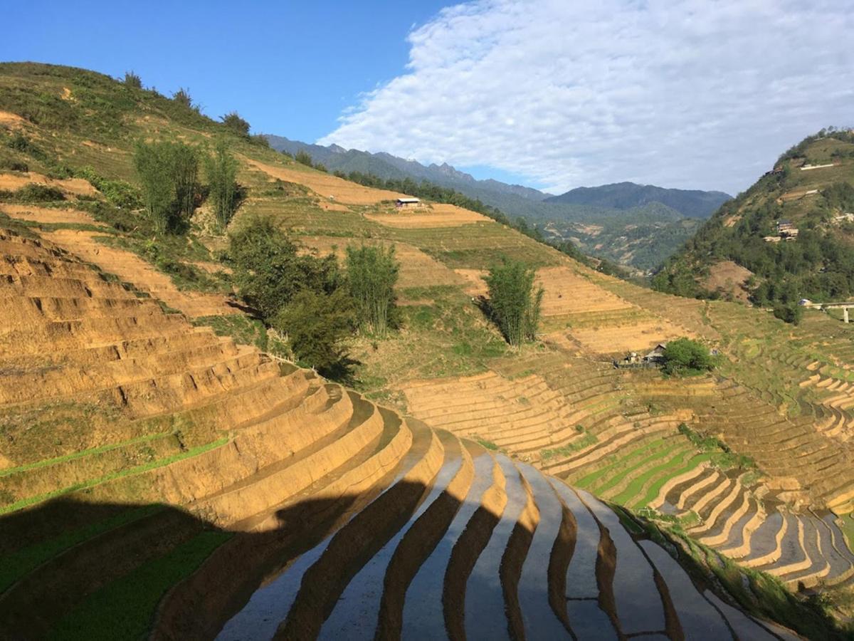 Chapa Farmstay - Mountain Retreat سابا المظهر الخارجي الصورة