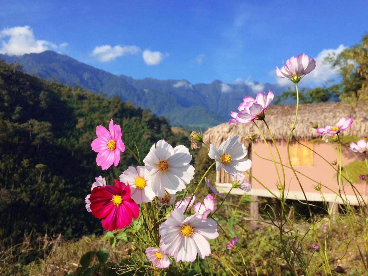 Chapa Farmstay - Mountain Retreat سابا المظهر الخارجي الصورة