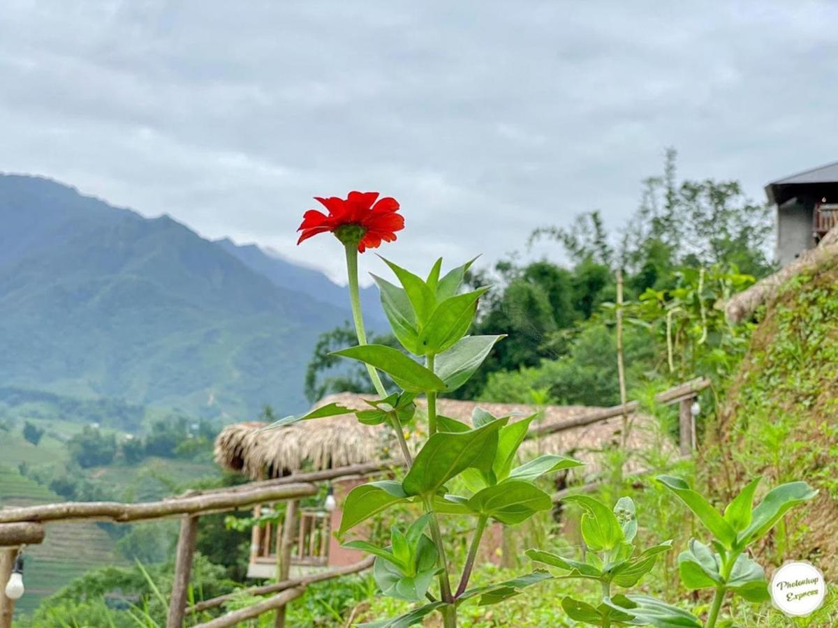 Chapa Farmstay - Mountain Retreat سابا المظهر الخارجي الصورة