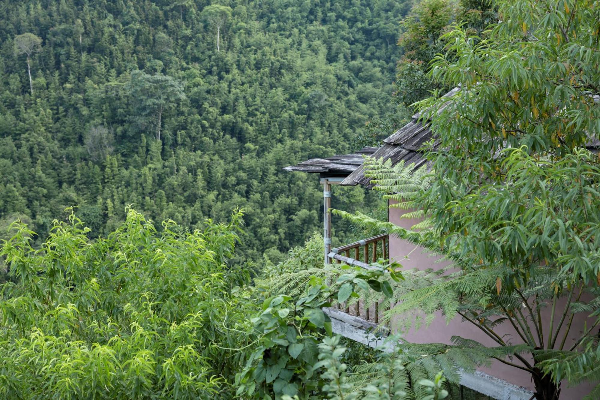 Chapa Farmstay - Mountain Retreat سابا المظهر الخارجي الصورة