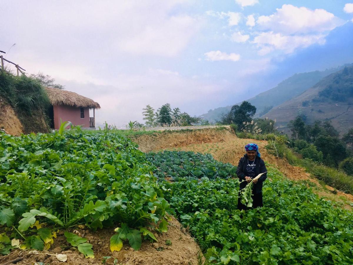 Chapa Farmstay - Mountain Retreat سابا المظهر الخارجي الصورة