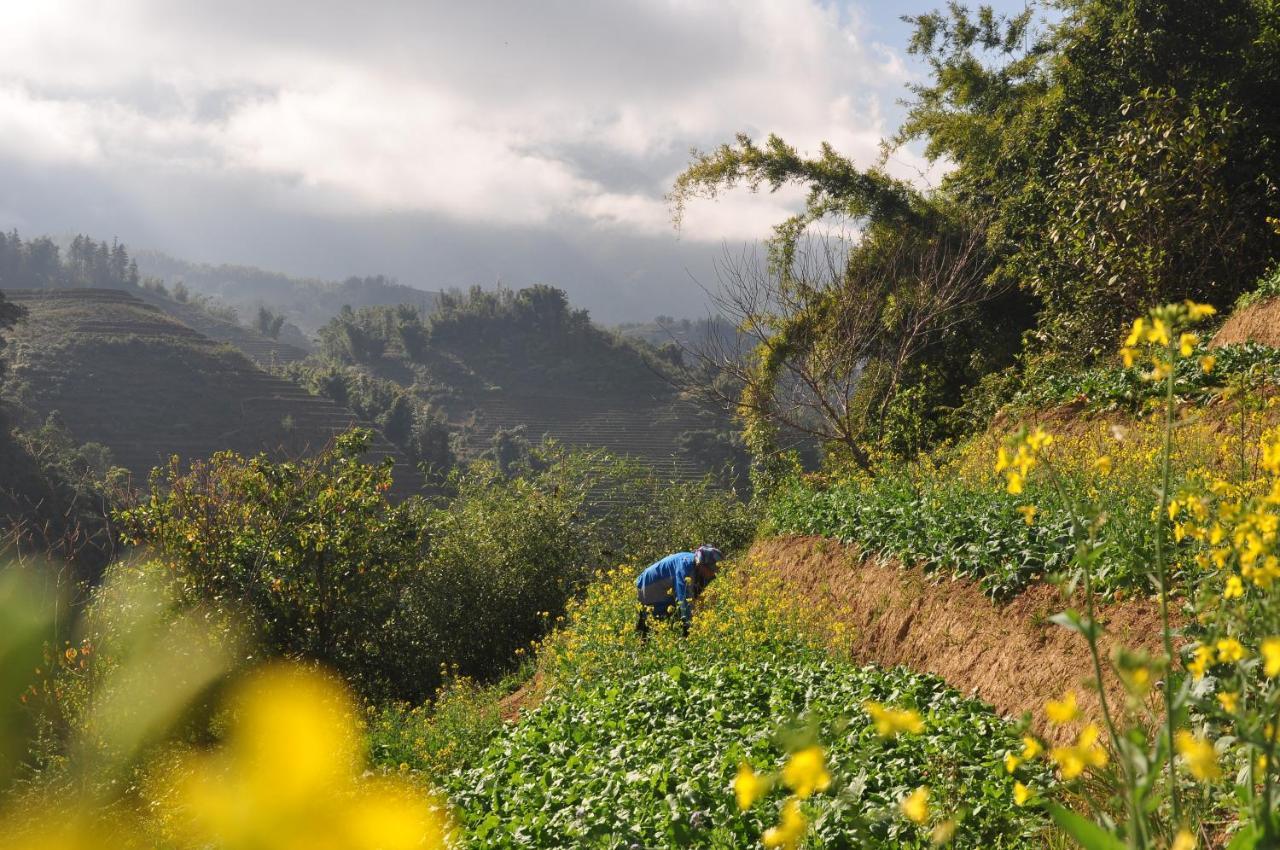 Chapa Farmstay - Mountain Retreat سابا المظهر الخارجي الصورة