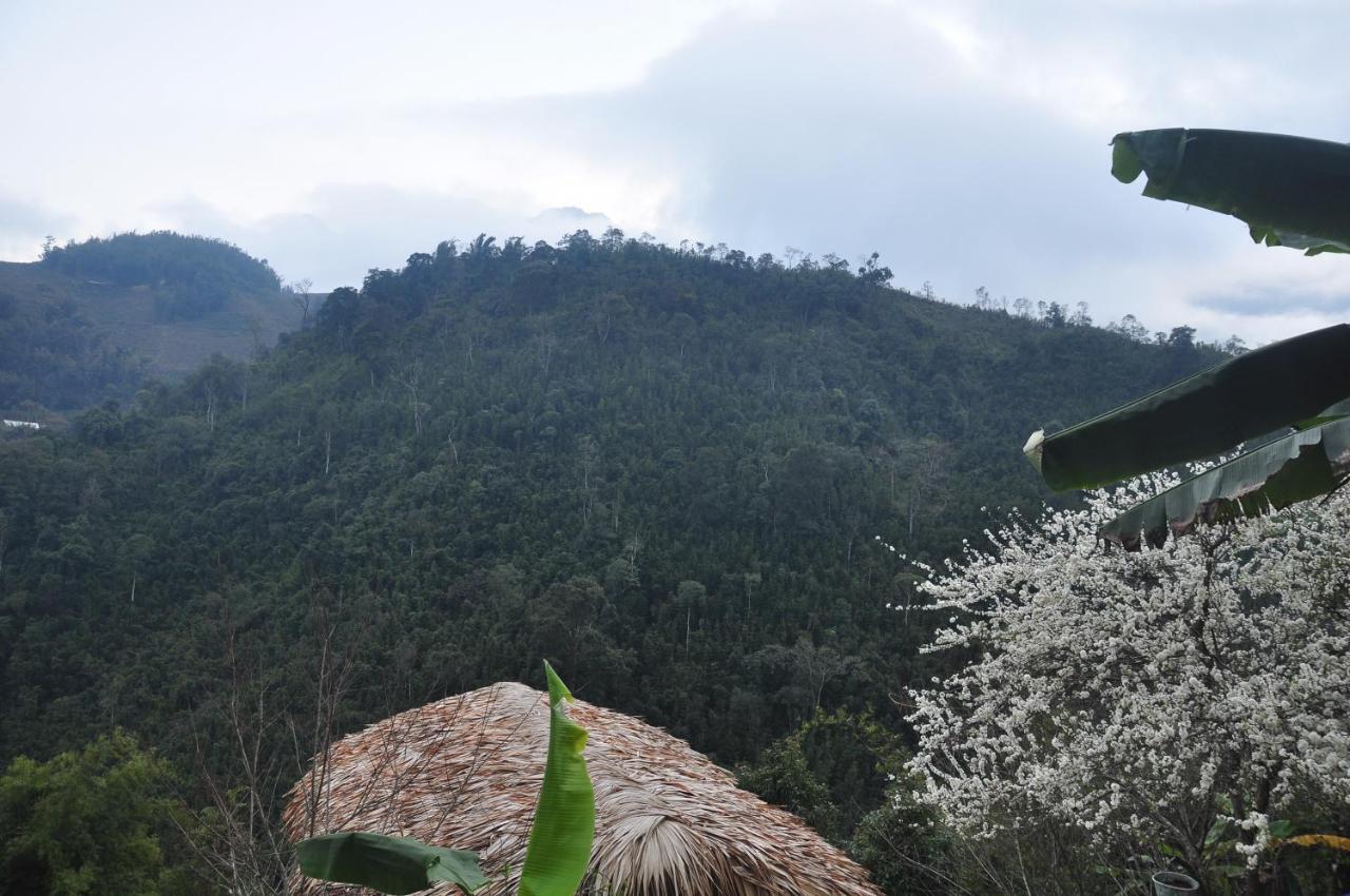 Chapa Farmstay - Mountain Retreat سابا المظهر الخارجي الصورة