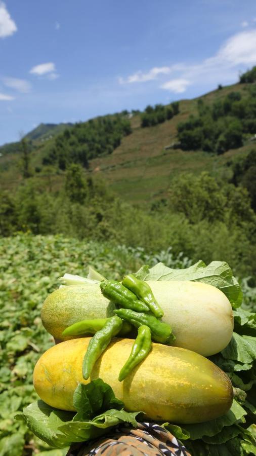 Chapa Farmstay - Mountain Retreat سابا المظهر الخارجي الصورة